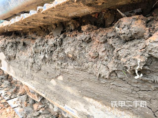 右側(cè)履帶整體?（行走機(jī)構(gòu)）