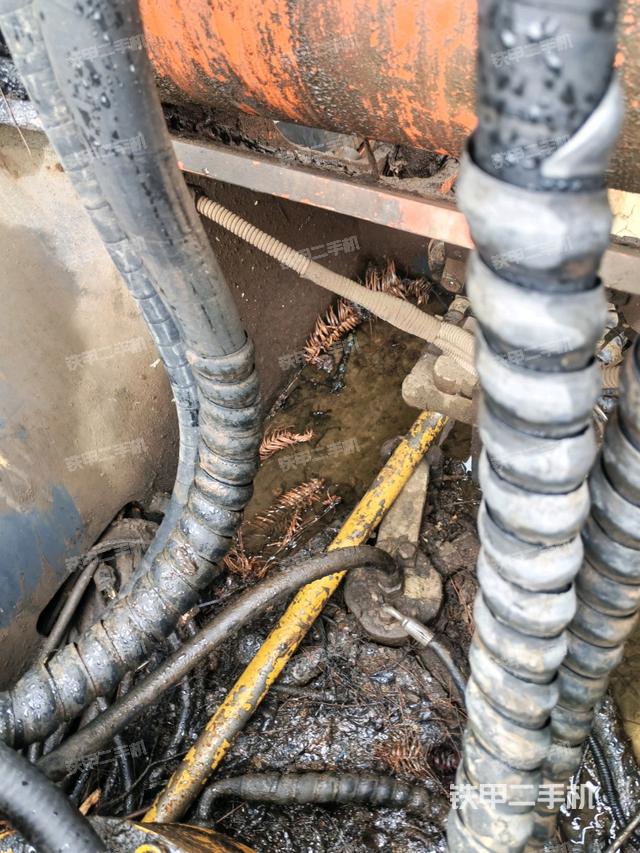 氣門室蓋螺絲特寫(上車部件) 氣門室蓋螺絲特寫(上車部件)