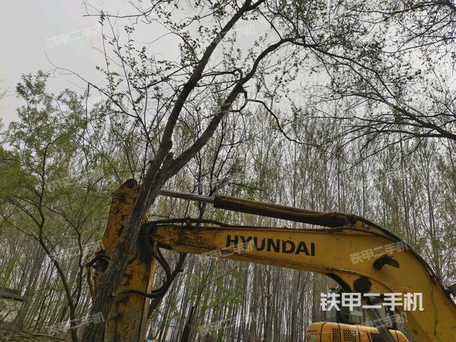 小臂整體左后（工作和回轉(zhuǎn)裝置）