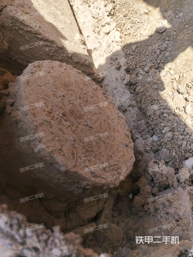 左導(dǎo)向輪(行走機(jī)構(gòu)) 左導(dǎo)向輪(行走機(jī)構(gòu))