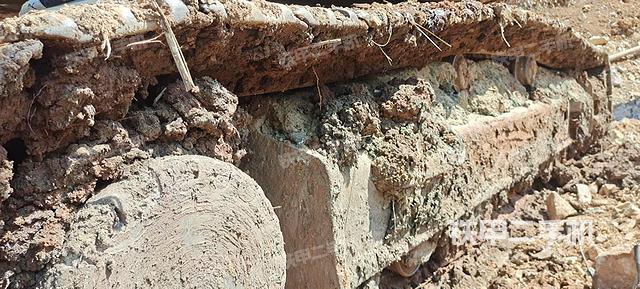 單側(cè)履帶整體（整機外觀）