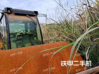 洛陽(yáng)路通LT220B壓路機(jī)實(shí)拍圖片