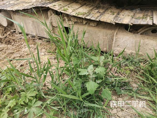 右侧履带整体 (行走机构) 右侧履带整体 (行走机构)