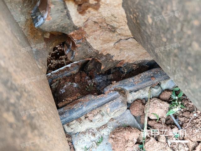 右托鏈輪+鏈筋（行走機(jī)構(gòu)）