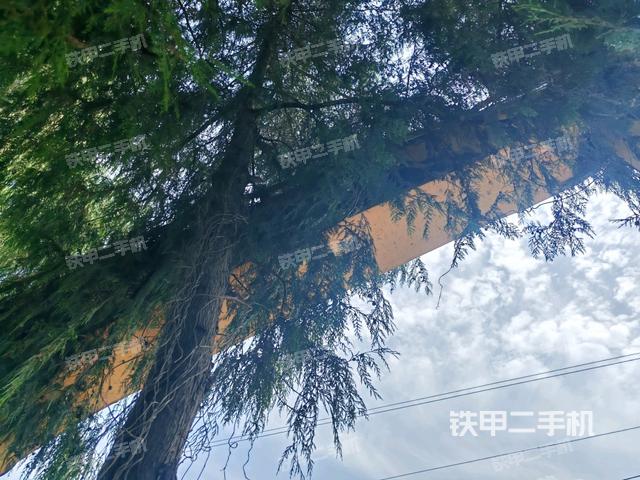小臂整體左后(工作和回轉(zhuǎn)裝置) 小臂整體左后(工作和回轉(zhuǎn)裝置)