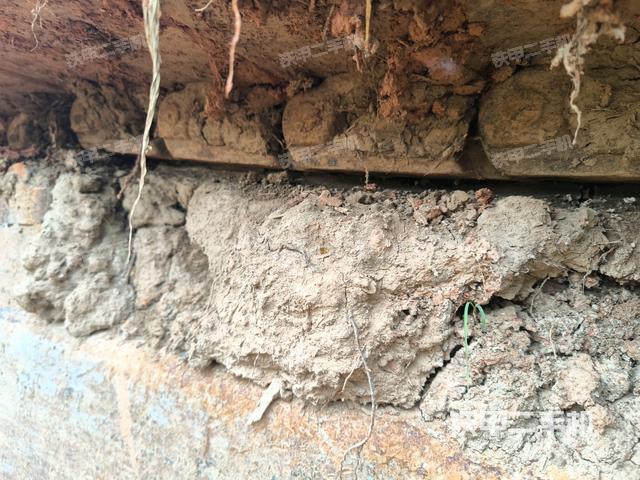 左导向轮(行走机构) 左导向轮(行走机构)