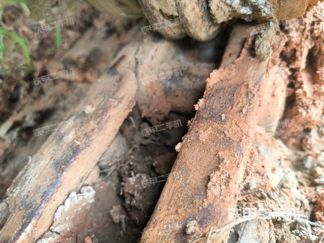 右导向轮(行走机构) 右导向轮(行走机构)