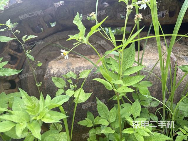 左托鏈輪和鏈筋(行走機(jī)構(gòu)) 左托鏈輪和鏈筋(行走機(jī)構(gòu))