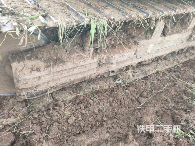 單側(cè)履帶整體(整機外觀) 單側(cè)履帶整體(整機外觀)
