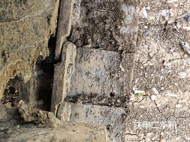 左驱动轮（行走机构）