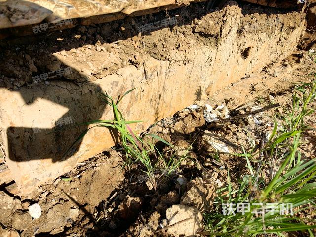 右侧履带整体 (行走机构) 右侧履带整体 (行走机构)