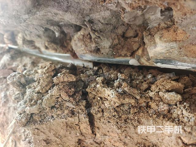 左托链轮和链筋(行走机构) 左托链轮和链筋(行走机构)
