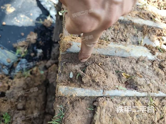 左托链轮和链筋(行走机构) 左托链轮和链筋(行走机构)