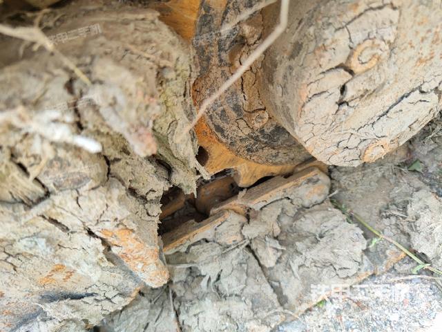 左侧行走马达盖板（行走机构）