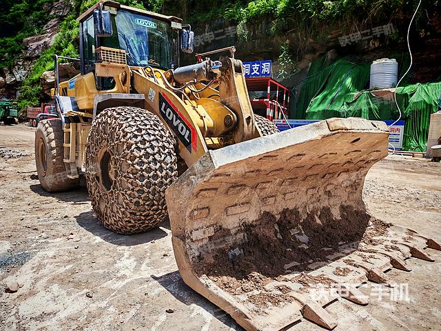 雷沃重工FL956H側(cè)卸裝載機(jī)