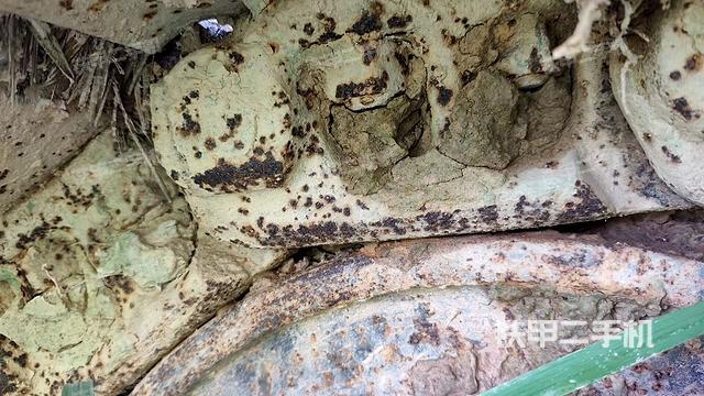 右驱动轮（行走机构）