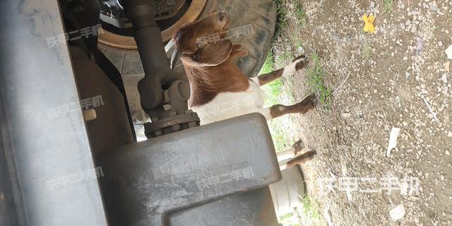 变速箱（整机外观及大件）