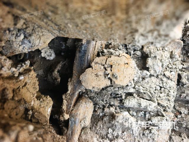 右導(dǎo)向輪（行走機(jī)構(gòu)）