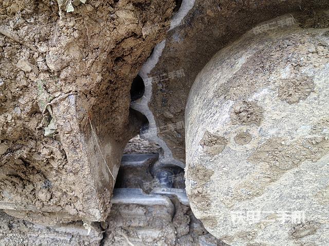 单侧履带整体（整机外观）