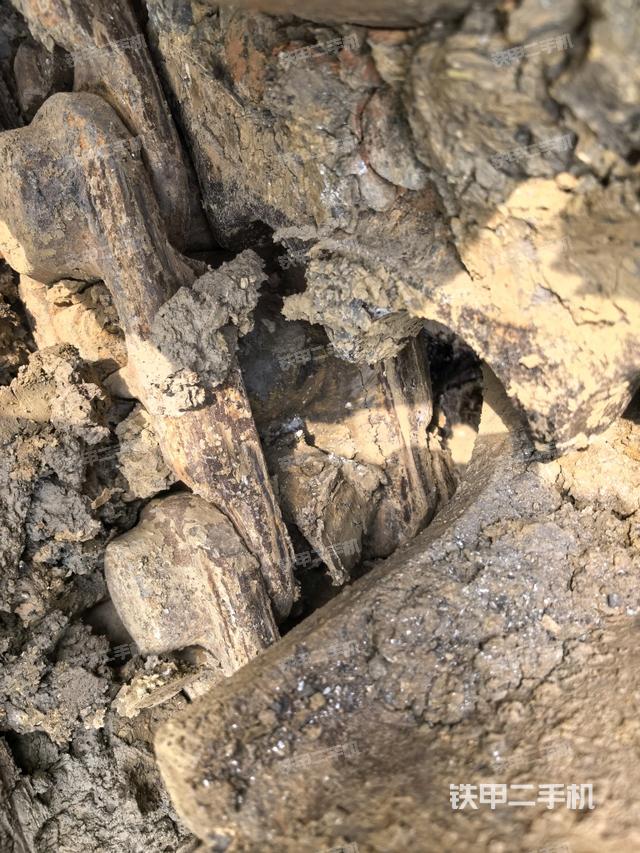 左驅(qū)動輪（行走機構(gòu)）