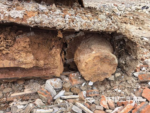 左驅(qū)動輪（行走機(jī)構(gòu)）