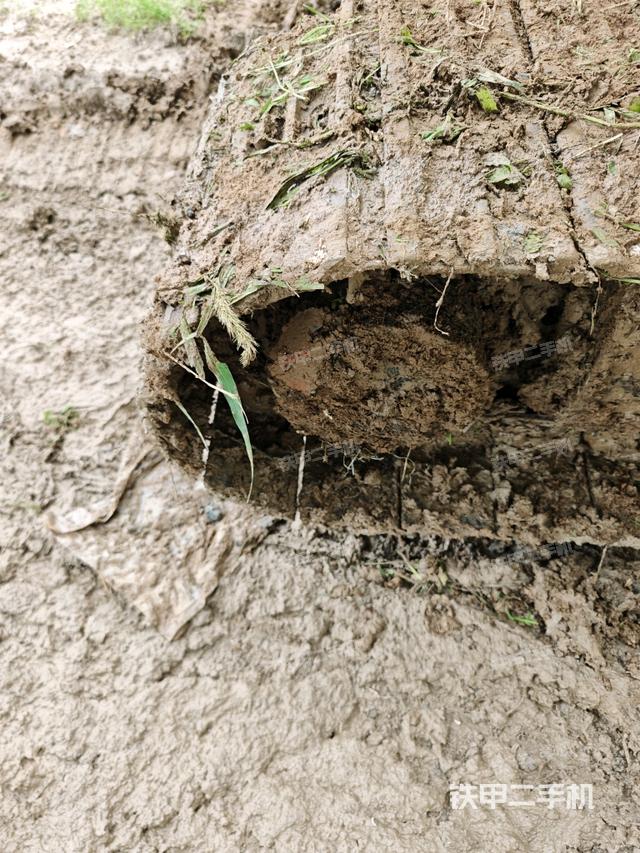 右托鏈輪+鏈筋（行走機(jī)構(gòu)）