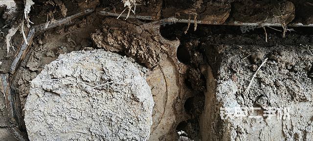 單側(cè)履帶整體(整機外觀) 單側(cè)履帶整體(整機外觀)