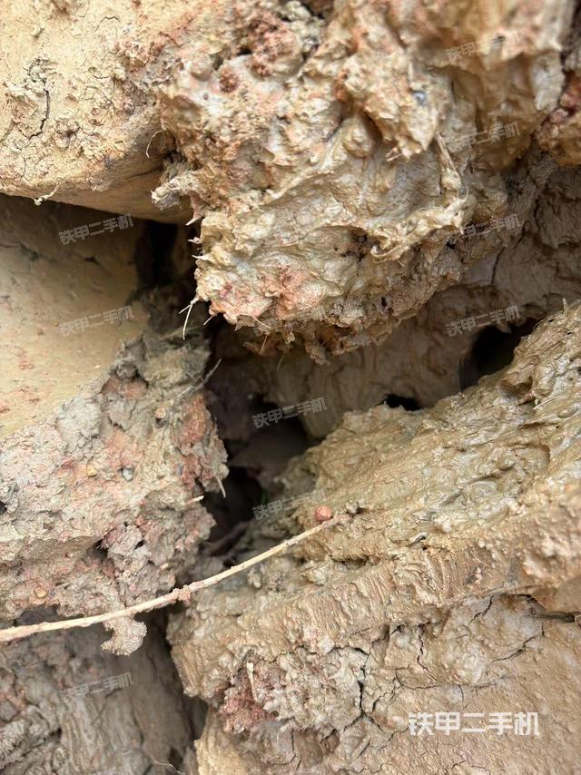 駕駛室頂部（整機外觀）