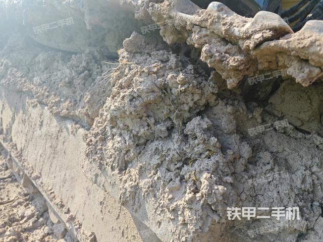 左托链轮和链筋(行走机构) 左托链轮和链筋(行走机构)