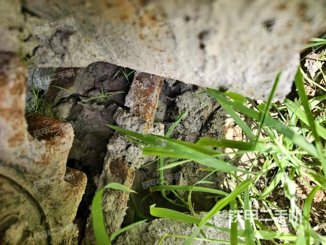 左导向轮(行走机构) 左导向轮(行走机构)