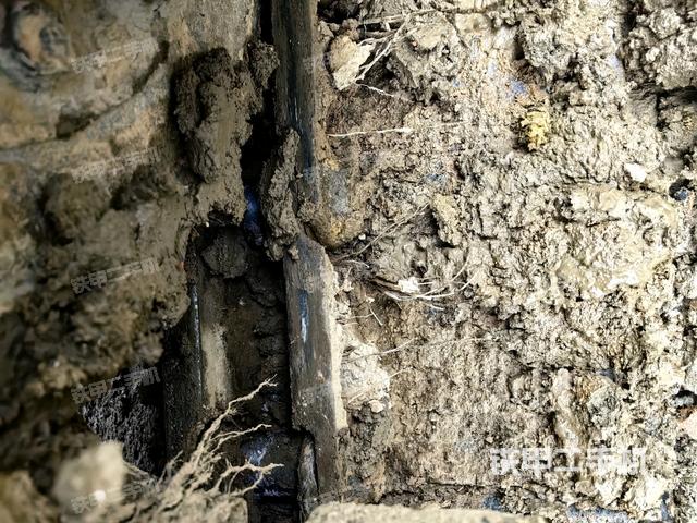 左驅(qū)動(dòng)輪（行走機(jī)構(gòu)）