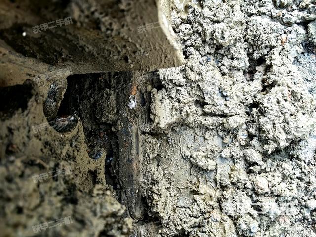 左驅(qū)動(dòng)輪（行走機(jī)構(gòu)）