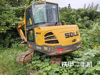 山东临工E655F挖掘机实拍图片
