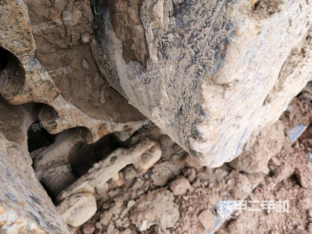 左導向輪（行走機構(gòu)）