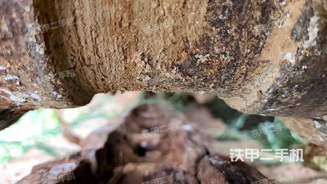 右托链轮+链筋(行走机构) 右托链轮+链筋(行走机构)