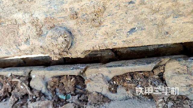 左侧履带整体 （行走机构）