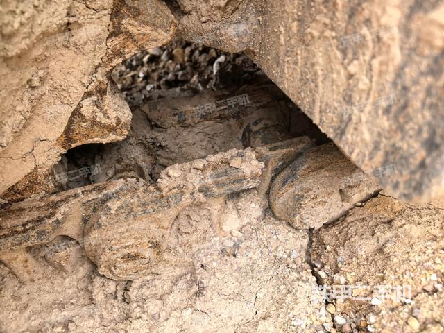 右侧履带整体（行走机构）