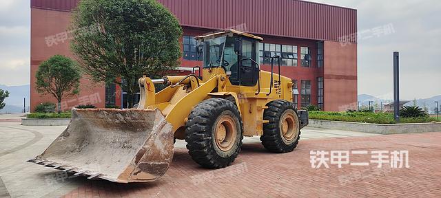 雷沃重工FL955F裝載機