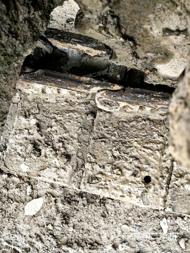 左驅(qū)動(dòng)輪（行走機(jī)構(gòu)）