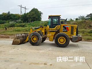 雷沃重工FL955F装载机实拍图片
