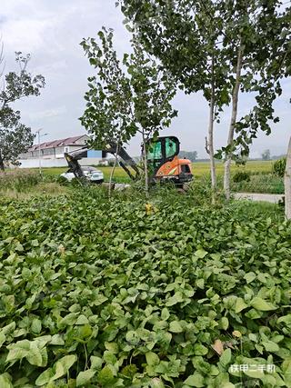 斗山DX60WN ECO挖掘机实拍图片