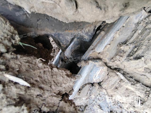 左托链轮和链筋(行走机构) 左托链轮和链筋(行走机构)