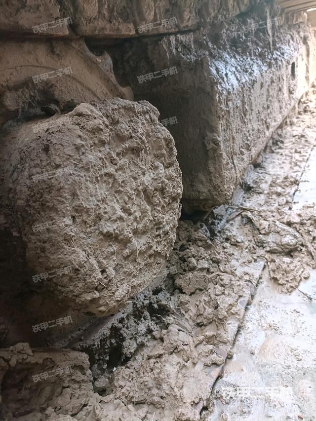 單側履帶整體（整機外觀）