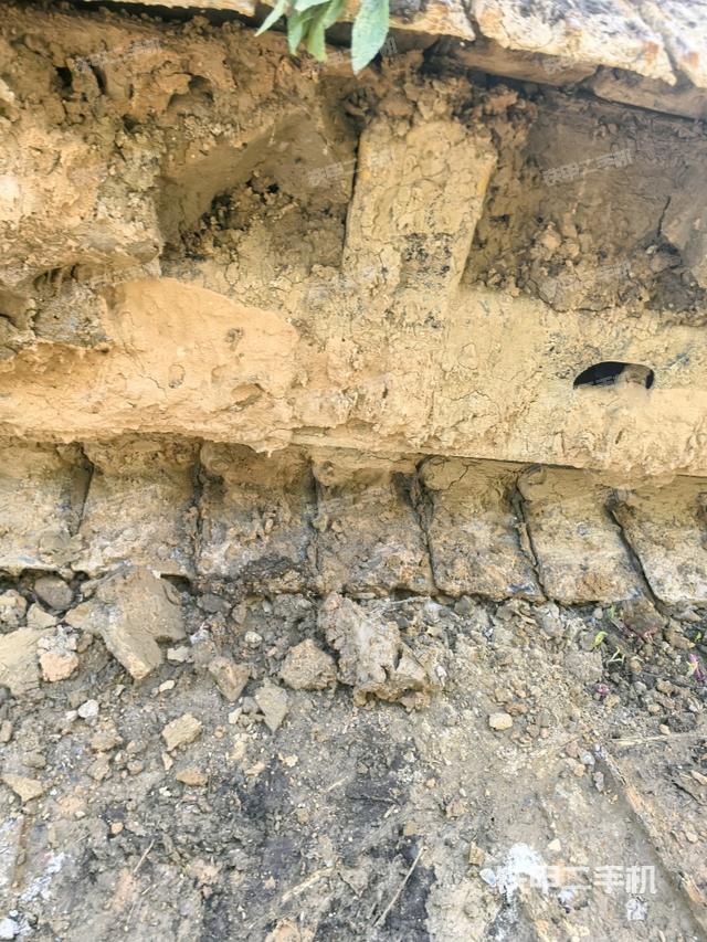 左托链轮和链筋（行走机构）