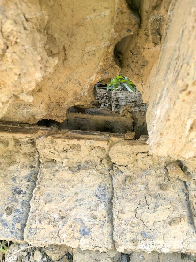 左驱动轮（行走机构）