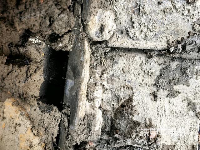 左驱动轮（行走机构）