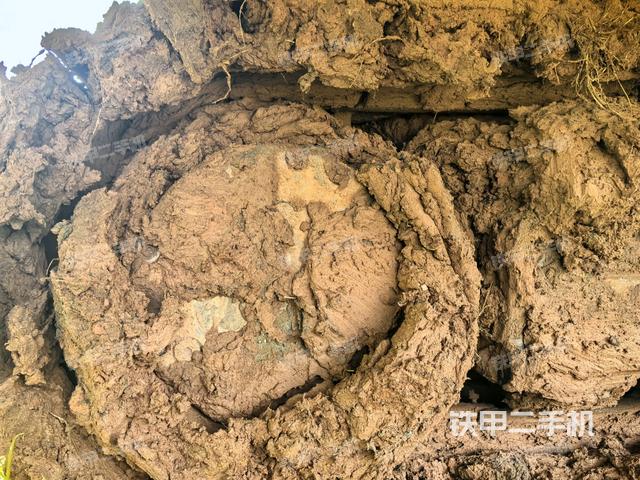 左驱动轮(行走机构) 左驱动轮(行走机构)