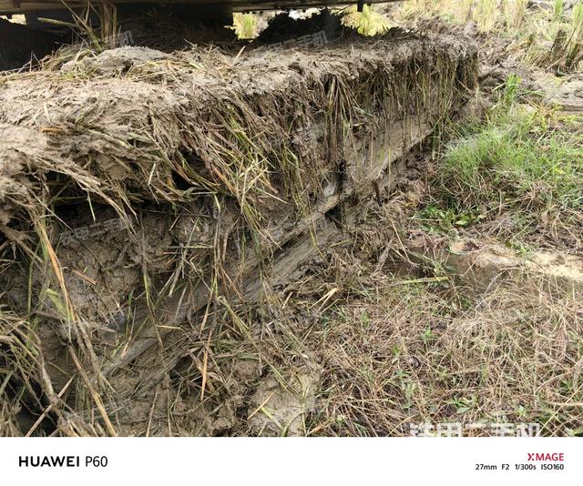 单侧履带整体（整机外观）