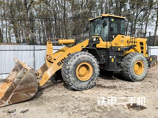 山東臨工L955F(掃地機(jī))裝載機(jī)