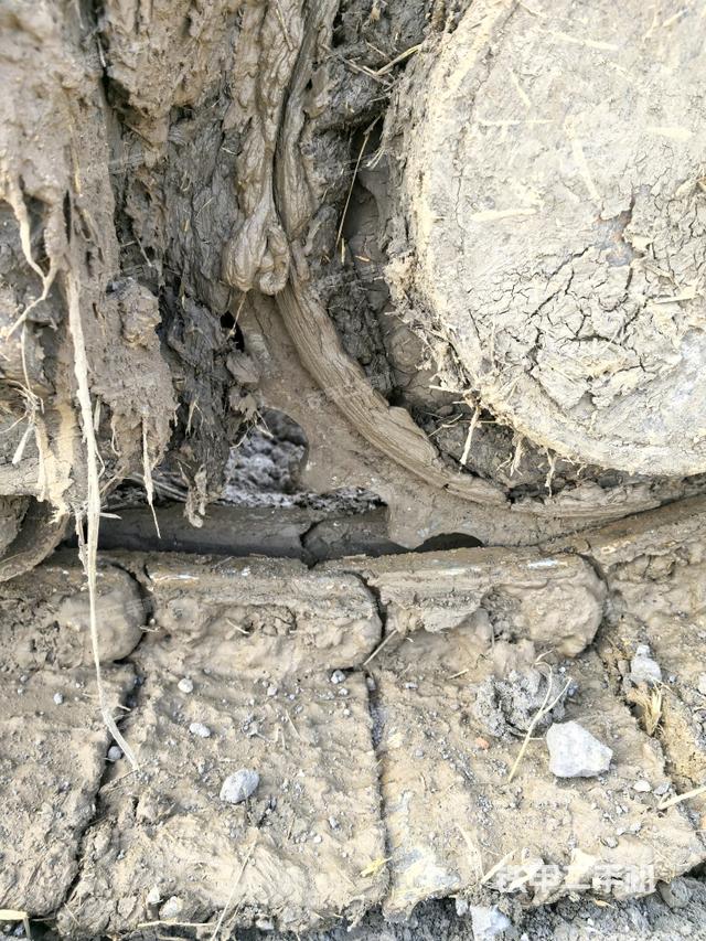 右托鏈輪+鏈筋（行走機(jī)構(gòu)）